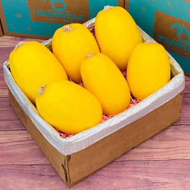 Spaghetti Squash Box